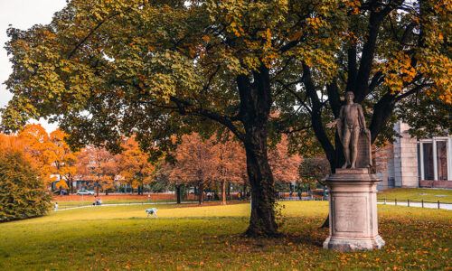 Herbstbild vom Hofgarten