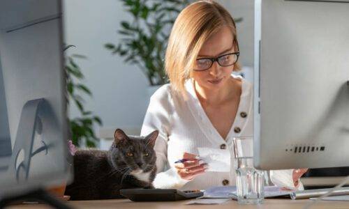 Eine Frau sitzt vor dem PC-Bildschirm und liest handschriftliche Notizen, neben ihr sitzt eine Katze auf dem Schreibtisch