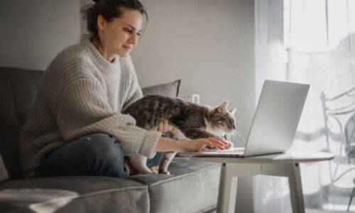 Studentin am Laptob, auf dem Schoß ihre Katze
