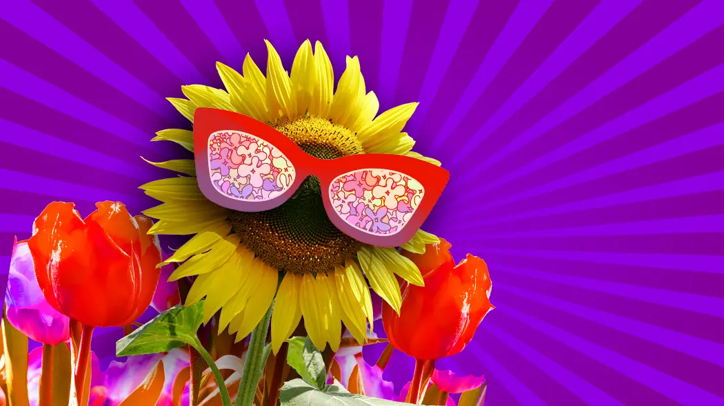 Weather got you down? Wo man Sonne und gute Laune nahe München tanken kann