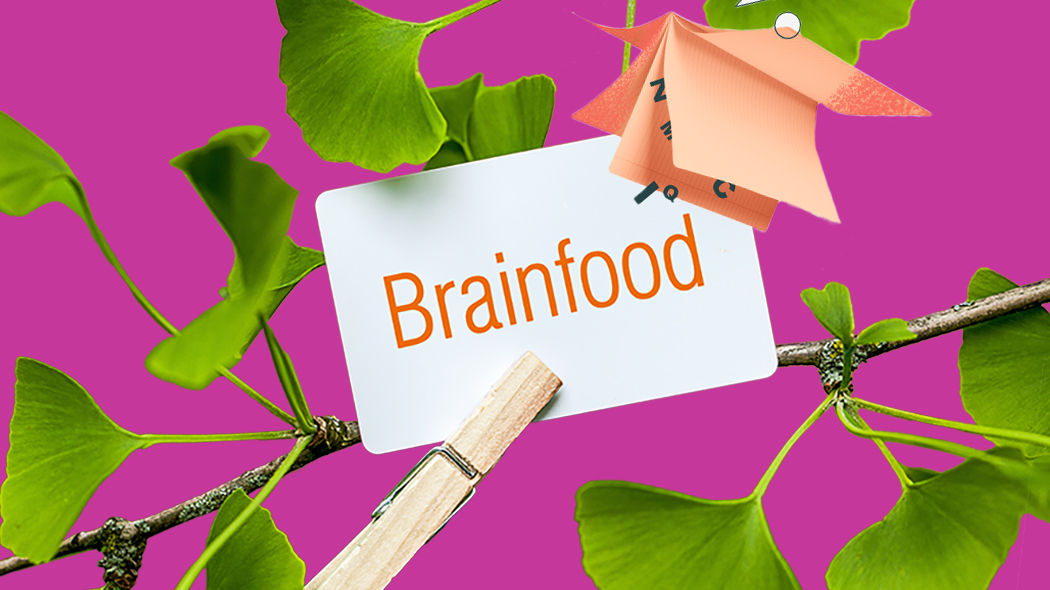 Brainfood für Studis