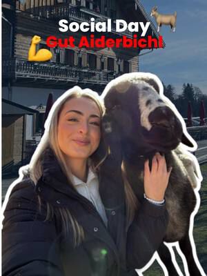 We call it ✨wholesome Arbeitstag✨ #fyp #gutaiderbichl #socialday #gnadenhof #tiere 